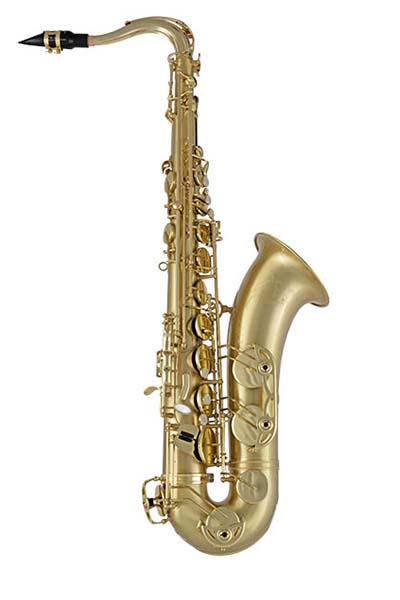 Selmer Alto Saxophone 711M