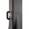 A42X Bach Professional Trombone Case