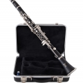 LCL301NPC Clarinet on top of Case