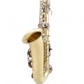 Selmer SAS201 Alto Saxophone