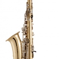 SAS301 Alto Saxophone