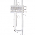 LT190SL1B Trumpet Valves