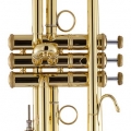 Bach LT18077 Trumpet