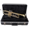 Bach BTR301 Trumpet on Case