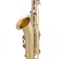 STS301 Tenor Saxophone