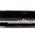 Selmer SFL511BEO Laying on in Case