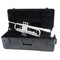 TR200S Trumpet on top of Case
