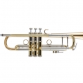 190L65GV Professional Trumpet