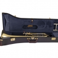 A42I Professional Trombone in Case