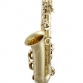 AS711 Prelude Saxophone Vertical Side