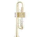 TR711 Prelude Trumpet