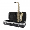 Selmer SAS201 Alto Saxophone on top of case