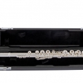 Selmer SFL411BEO Laying on in Case