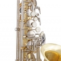 Selmer SAS201 Alto Saxophone