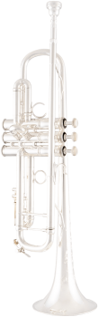 image of a AB190S Professional Bb Trumpet