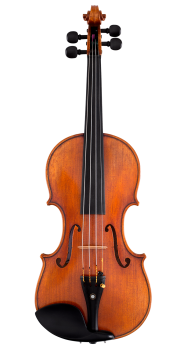 image of a SR81G Professional Violin