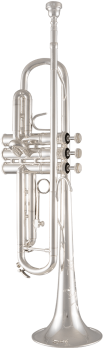image of a TR200S Step-Up Bb Trumpet