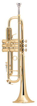 image of a LT18072 Professional Bb Trumpet