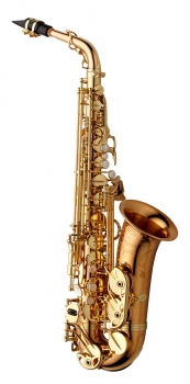 image of a AWO20 Professional Alto Saxophone