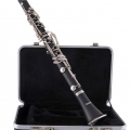 Selmer SCL201N Student Clarinet on Case