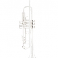 Bach 190S37 Trumpet