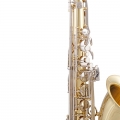 STS201 Tenor Saxophone Keys