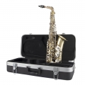 SAS301 Alto Saxophone inside Case
