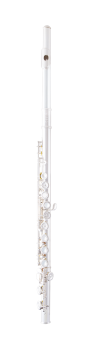 image of a SFL301 Series Student Closed Hole Flute